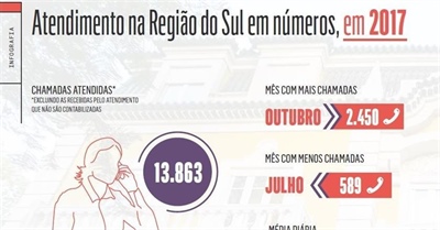 Números do atendimento nos serviços da Região Sul